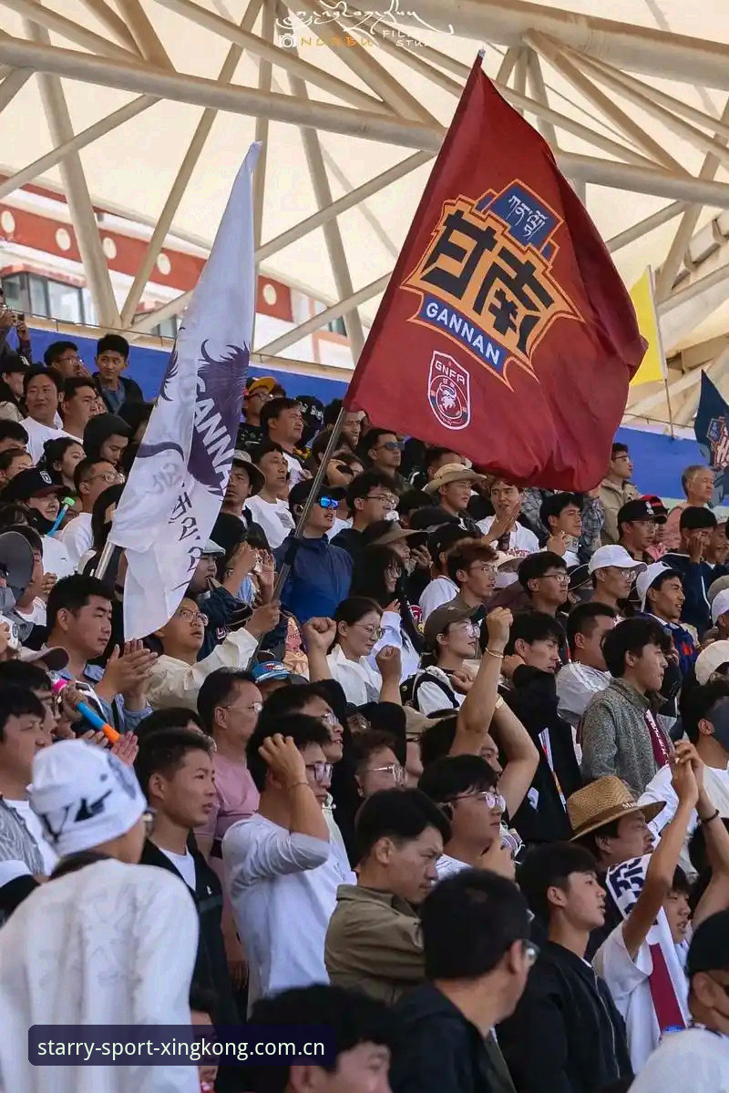 揭秘世界杯“冷场”背后的签证困局：中东战火如何浇灭球迷热情？
